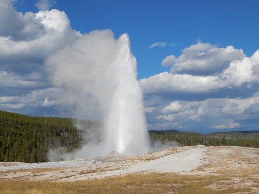 Old Faithful, Yellowstone National Park