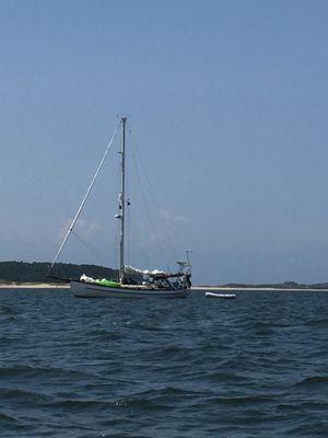 Beautiful boat moored in Wellfleet Harbor