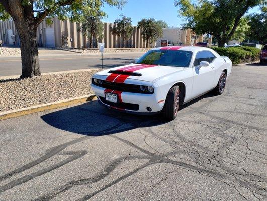 White carbon fiber hood and full racing stripes in Diamond Red