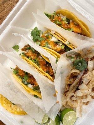 Amazing tripita tacos with grilled onions