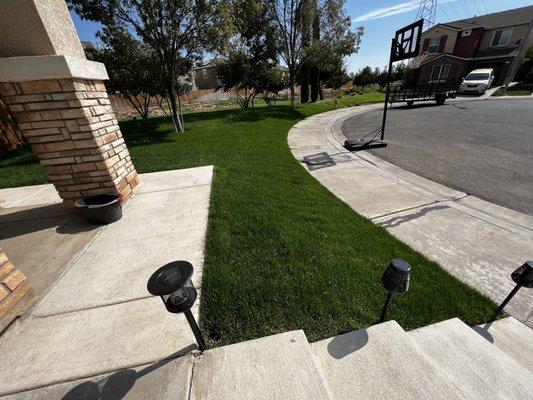 Sod Installation