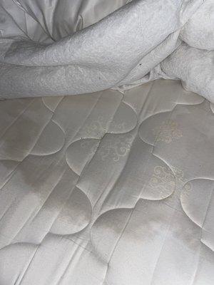 Mattress covered in bodily fluids.