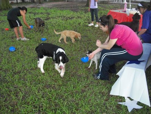 Daycare at Foxmoor!!