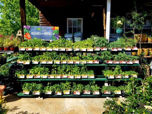 The garden center at TAYLOR FOSTER HARDWARE in Manchester, Georgia.