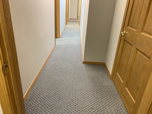 Commercial glue down carpet can be cleaned without closing the business.