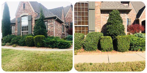 Shrubs and tree trimming to spruce up this home.