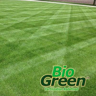 Bio Green Lawn