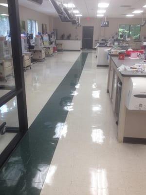 We just did this floor at medical Facility