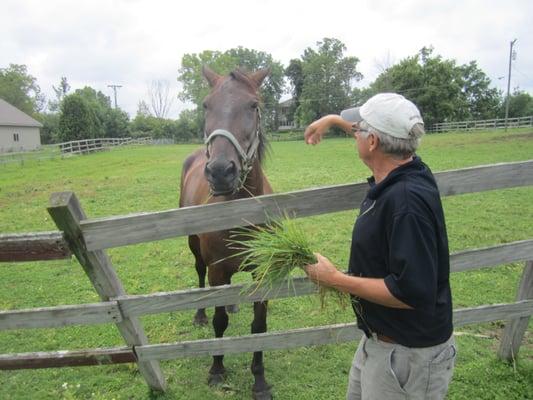 Walter P bonds with Downing Farms Racehorse