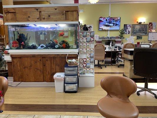 Salon Fish tank