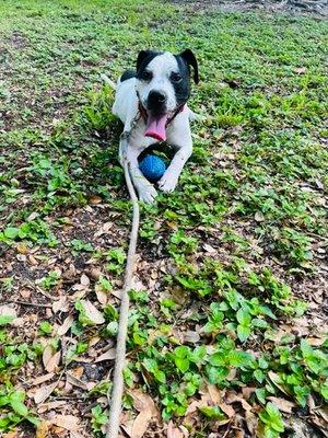 Playing at the park!