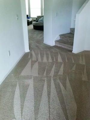 Carpet cleaning in Fleming Island Fl, 32003