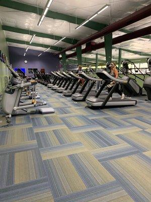 Cardio section