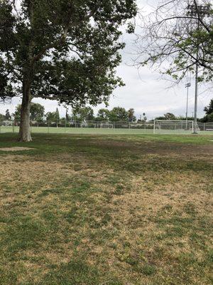 Soccer Field View