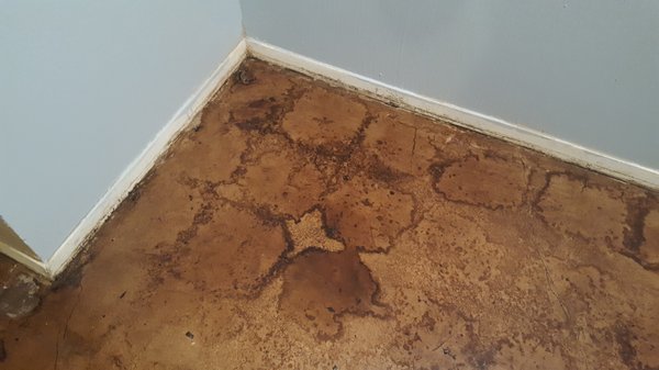 Raul's Concrete Stain in Plano, TX