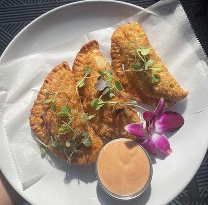 Homemade Empanadas