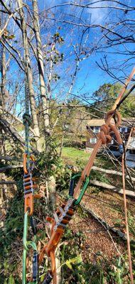 North Adams Tree and Landscaping