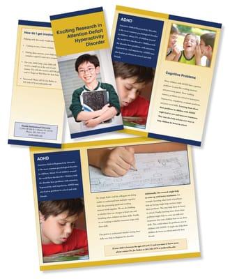 Tri-fold Brochure Design for a Florida College Program