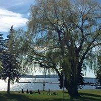 Practicing across from the studio under Master Willow on beautiful Lake Charlevoix.