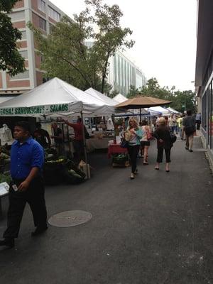 Cambridge Center Farmers Market