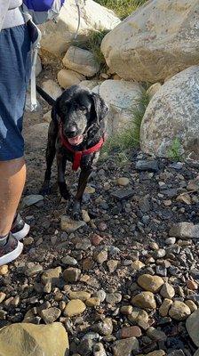 San Ysidro Falls Trail