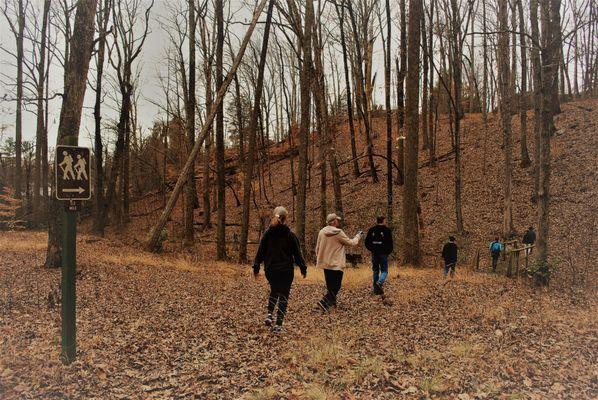 A winter walk on the nature trail