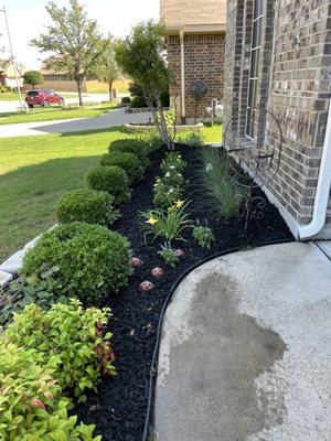 Front yard make over