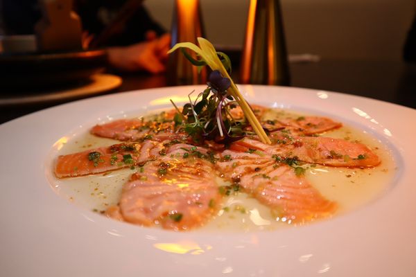 Salmon Carpaccio