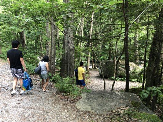 Access the less steep (second pathway entrance) to the falls.