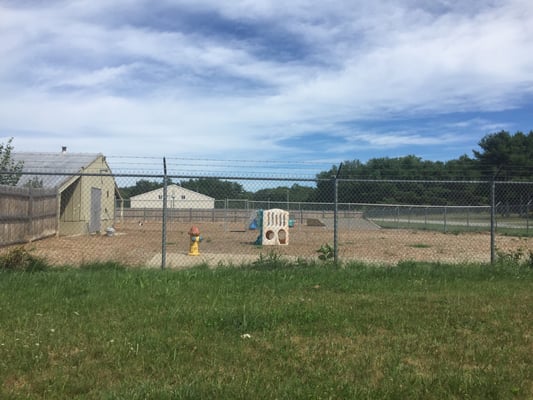 Two fenced in areas with plenty of fun toys for the pups.