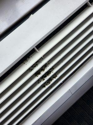 Mold on vents in the room