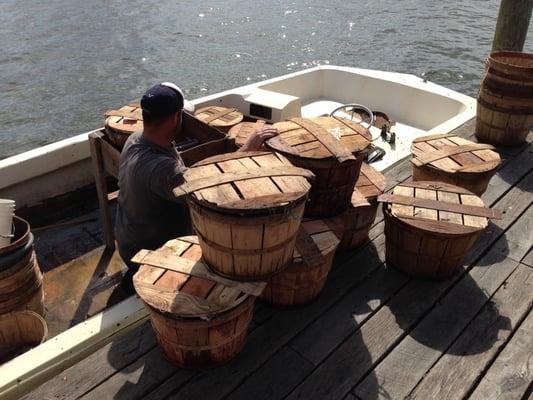 Fresh crabs straight from Smith Island