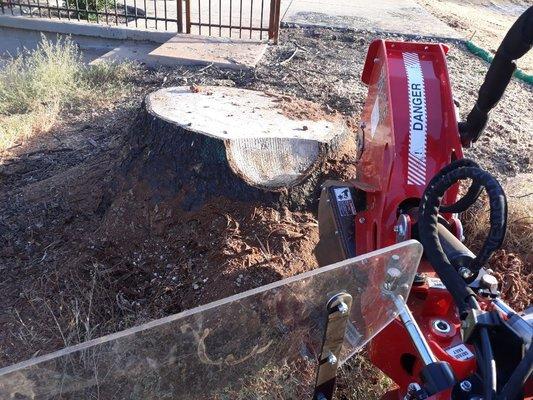 Willies Stump Grinding