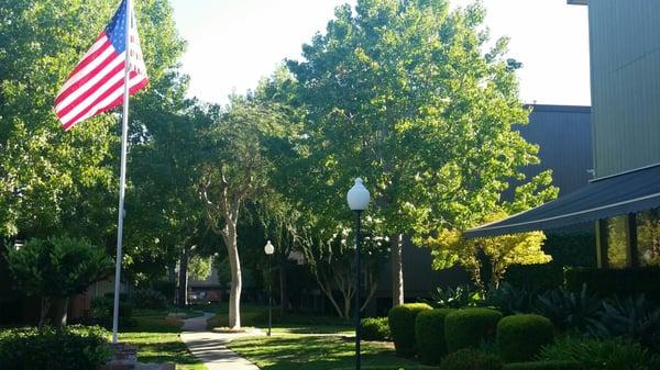 Office Courtyard