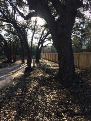 Typical lot at Hunt's Crossing RV Ranch