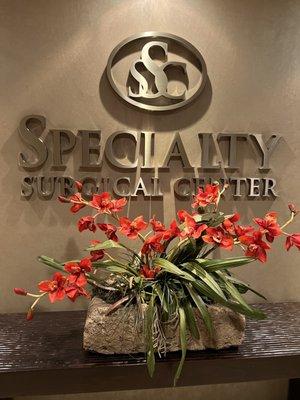 Specialty Surgical Center