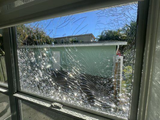 Shattered window from their root pruning service