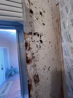 Mold Inspection Company