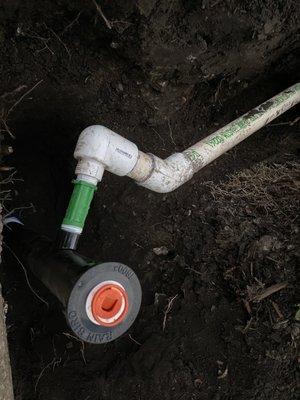 Installed Sprinkler Head