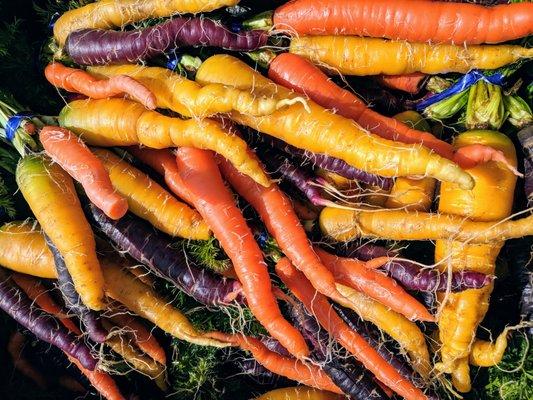 Rainbow carrots from Sound Sustainable Farm in Redmond