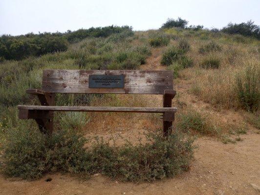 Bench made for giants