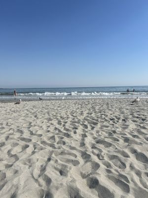 Peabody Beach