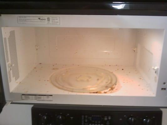 MICROWAVE - BEFORE