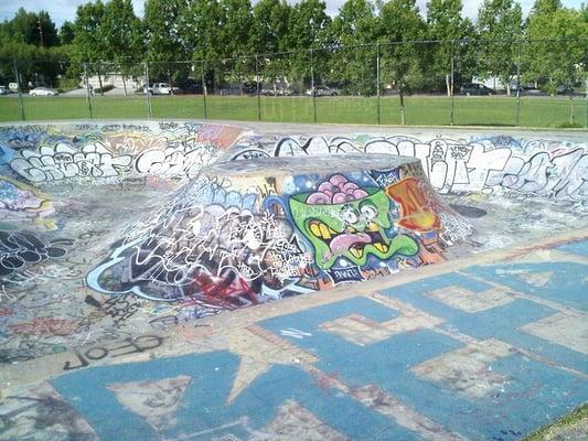 greer park does not have the smoothest surface or any kind of coping but has the best graffiti art in the area.