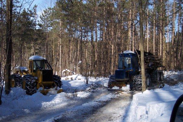 Beller Logging & Land Clearing