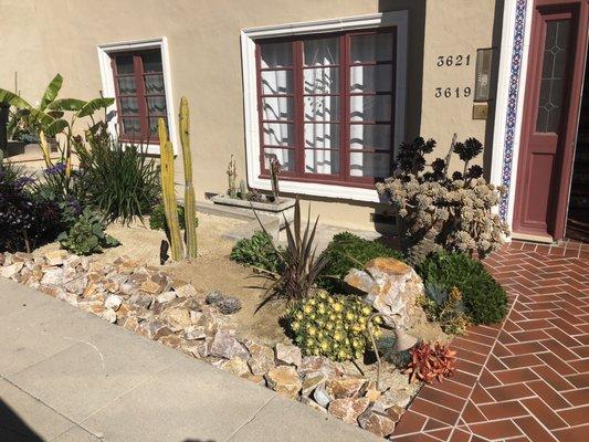 Rivetti cleaned up and rearranged the plants near the entrance to our building