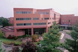 Delaware Valley Urogynecology