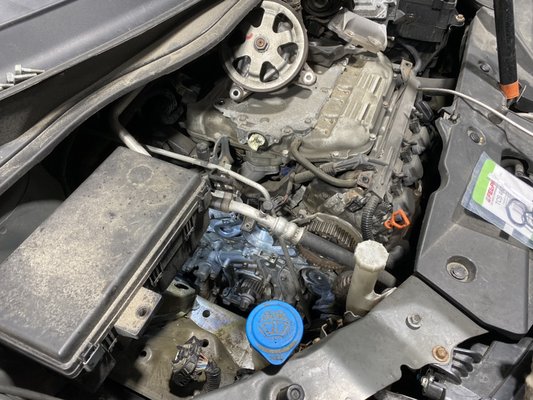 Timing Belt Kit Replacement