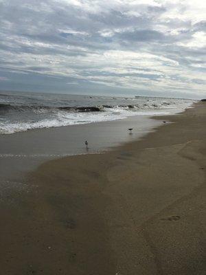 Enjoying OBX