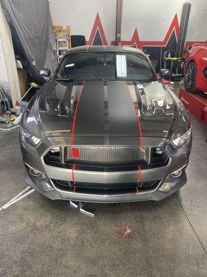 2 tone racing stripes